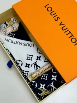 LV Scarves E020260504558049