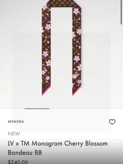 LV Scarves E020260504872949