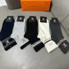 LV Socks C520260503581749