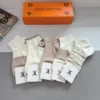 LV Socks D020260503546749