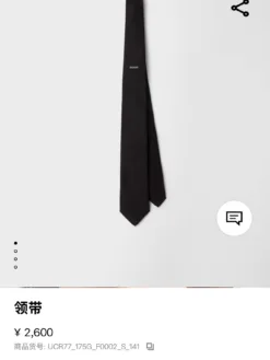 PRADA Ties F0202605041082349