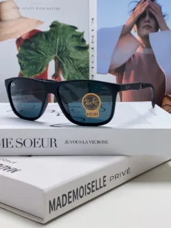 RAYBAN Glasses & Sunglasses H020260504103459