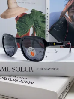 RAYBAN Glasses & Sunglasses H520260504103559