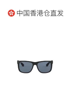 RAYBAN Glasses & Sunglasses H520260504356659