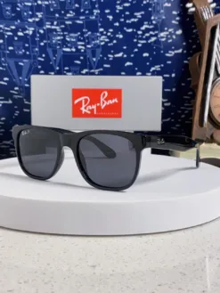 RAYBAN Glasses & Sunglasses H520260504458659