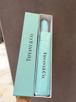 TIFFANY Umbrellas E520260503038449