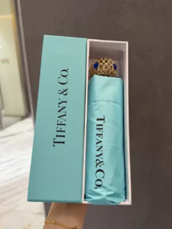 TIFFANY Umbrellas H020260503107359