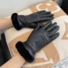 UGG Gloves H520260503193059