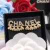 Uncategorized Earrings E020260504023049