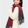 Uncategorized Scarves A3020260504983469