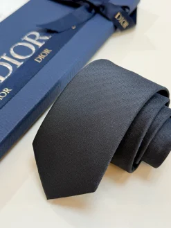 Alternative view of DIOR Ties F020260602023949