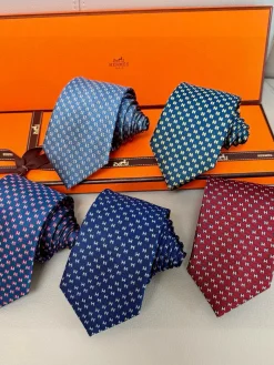 HERMES Ties E020260602033749