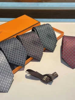 HERMES Ties F020260602067849