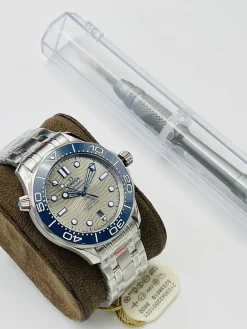OMEGA Seamaster Automatic 300 300M (Silver Dial) 42mm VS A650202606040182539