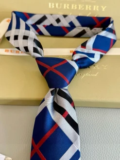 Alternative view of BURBERRY Ties E0202607020143