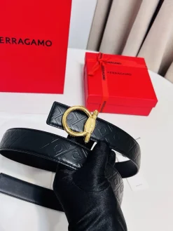 Alternative view of FERRAGAMO Belts Calf Leather A70202607050282