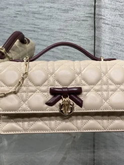 DIOR Clutches Bags Lamb Leather (Beige-Burgundy) 21X11X5CM E80202608060198