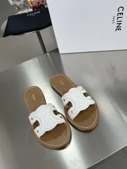 Alternative view of CELINE Slides A60202608031723