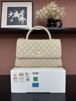 CHANEL Top Handle Bags Caviar Leather (Apricot-Gold) 29X18X12CM F80202608072537