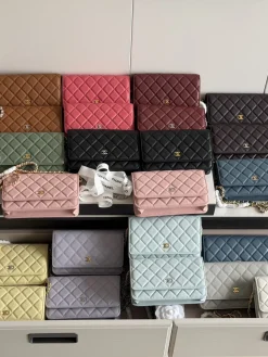 CHANEL Wallet Bags Steel 19CM D20202608071906