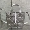 DIOR Bucket Bags Calf Leather (SiDIORer) 16X12X18CM G30202608060374