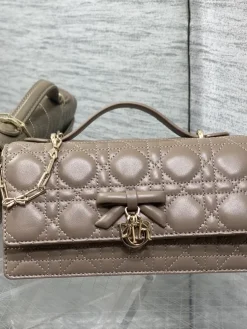 DIOR Clutches Bags Lamb Leather (Taupe-Gold) 21X11X5CM G00202608060390