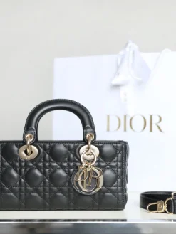 DIOR Crossbody Bags (Black-Gold) 22X12X6CM I50202608060315