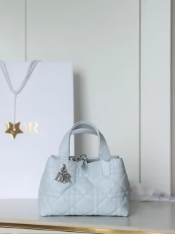 DIOR Shoulder Bags Calf Leather (Light Blue-SiDIORer) 23X14X12CM I00202608060087