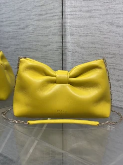 DIOR Shoulder Bags (Yellow-Gold) 26X16X10CM F80202608060418