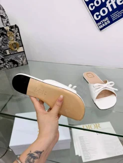 Alternative view of DIOR Slides B20202608031223