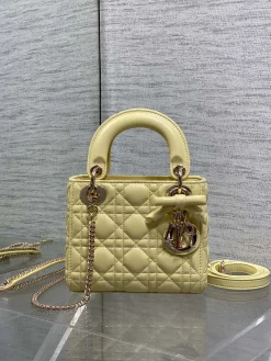 DIOR Top Handle Bags Leather (Yellow-Gold) 17X7X15CM F20202608060099