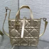 DIOR Trend Bags Calf Leather (Gold) 16X12X18CM G30202608060379