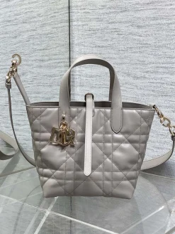 DIOR Trend Bags Calf Leather (Gray-Gold) 16X12X18CM G30202608060194