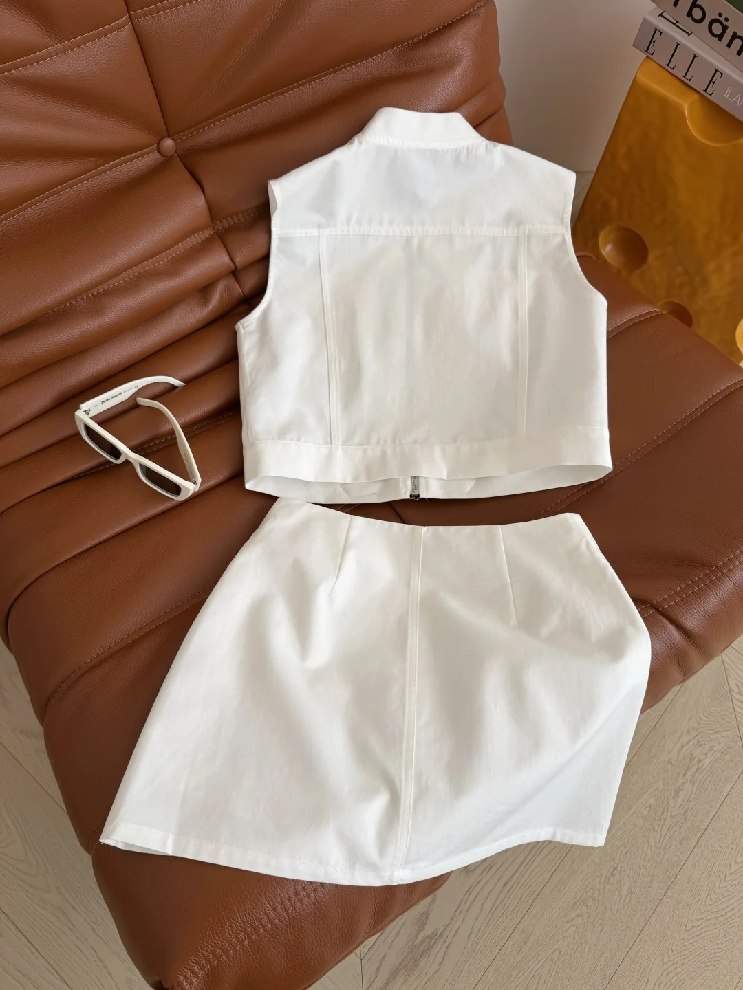 LV Skirts S-L C85202608042418 - Image 9