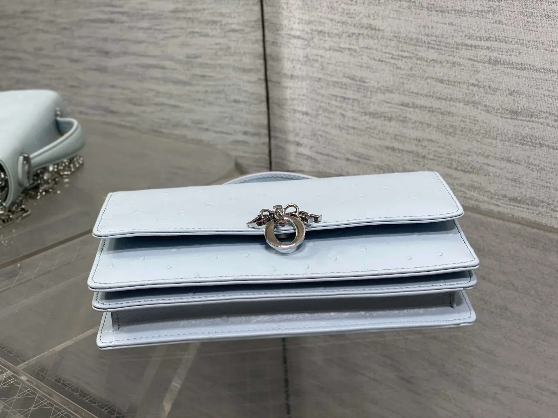 DIOR Clutches Bags Calfskin Ostrich Embossed Light Blue-Silver 21X11X5CM F50202609090150 - Image 7