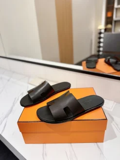 Alternative view of HERMES Slides Black B50202609111860