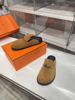 Alternative view of HERMES Slides Brown-Silver B30202609110907