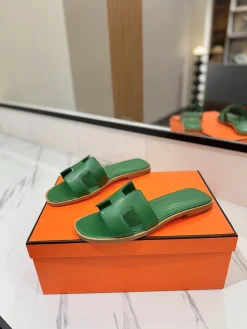 Alternative view of HERMES Slides Green B00202609111867