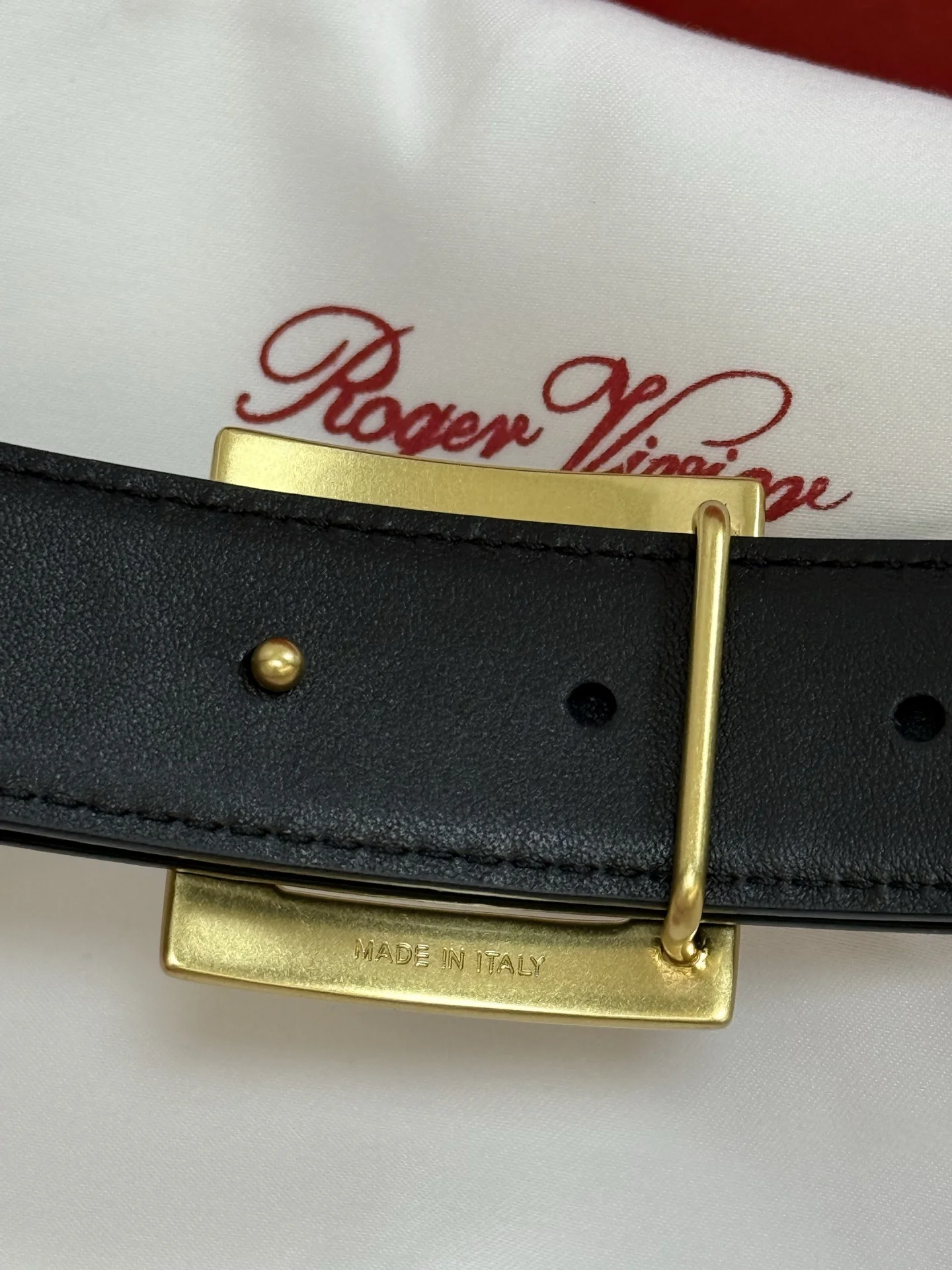 ROGER VIVIER Belts Calf Leather Brown-Gold 3cm Width A70202609070428 - Image 8